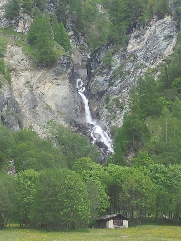 Hotel Alpina 3*
