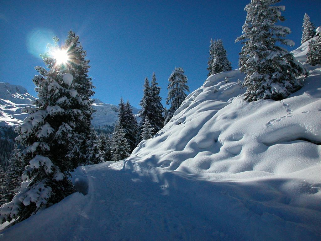 Alpina Vals